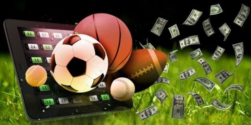 Chiến lược cá cược hiệu quả năm 2026